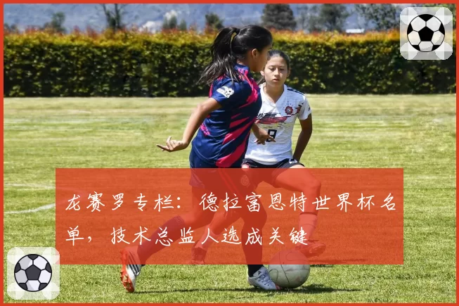 龙赛罗专栏：德拉富恩特世界杯名单，技术总监人选成关键