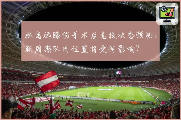 林高远膝伤手术后竞技状态预测,新周期队内位置将受何影响?